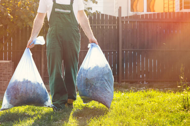 Best Junk Hauling Services  in Gaylord, MN
